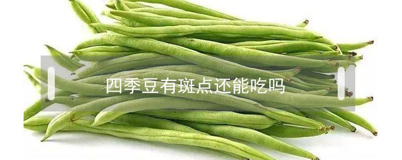 四季豆有斑点还能吃吗 四季豆有黑斑还能吃吗