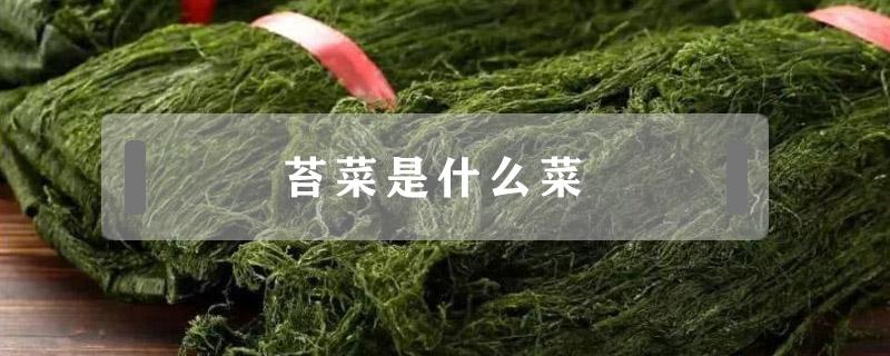 苔菜是什么菜 苔菜是什么菜系