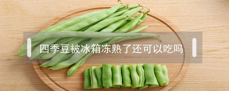 四季豆被冰箱冻熟了还可以吃吗（冻熟的四季豆还能吃吗）