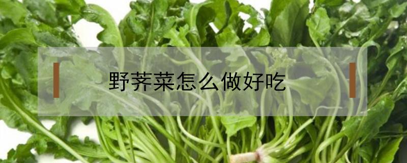 野荠菜怎么做好吃（野荠菜怎么做好吃?）