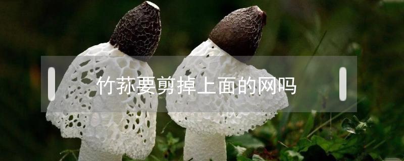 竹荪要剪掉上面的网吗 竹荪网全部扔掉吗