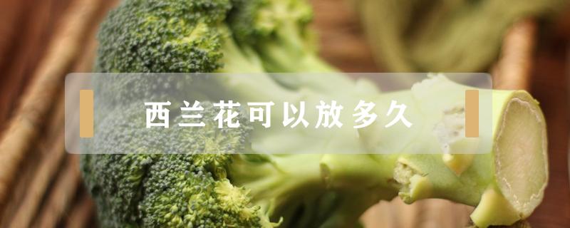 西兰花可以放多久(过了水的西兰花可以放多久)