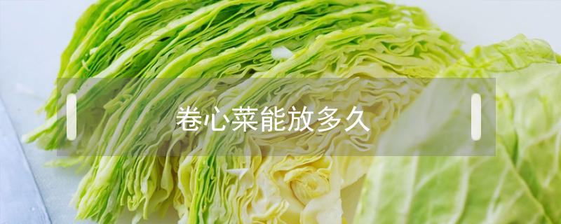 卷心菜能放多久（卷心菜能放多久?）