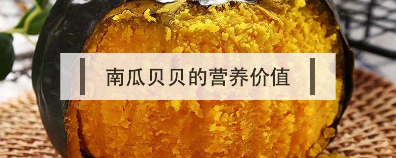 南瓜贝贝的营养价值（小孩吃南瓜贝贝的营养价值）