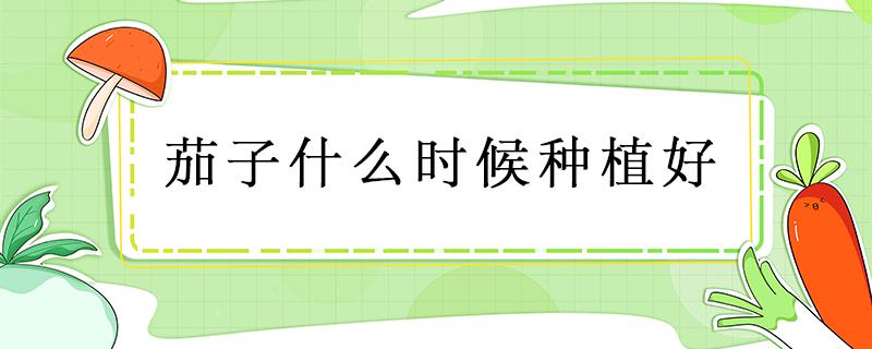 茄子什么时候种植好 这是什么时候种植茄子什么时候种植
