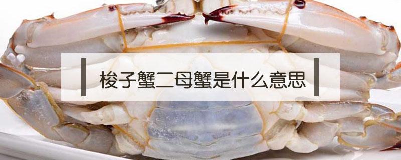 梭子蟹二母蟹是什么意思 梭子蟹分类 二母蟹,母蟹