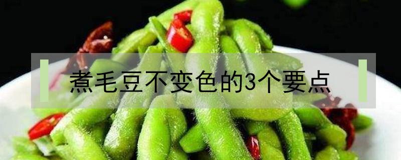 煮毛豆不变色的3个要点 煮毛豆不变色的方法