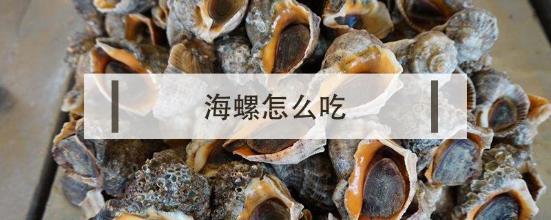 海螺怎么吃 海螺怎么吃法家庭吃法