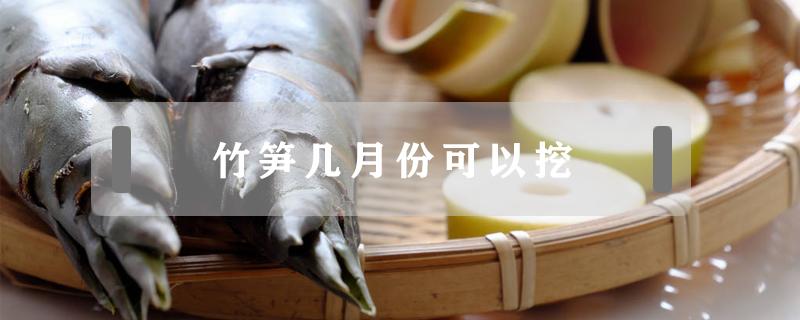 竹笋几月份可以挖 竹笋可以挖到几月份