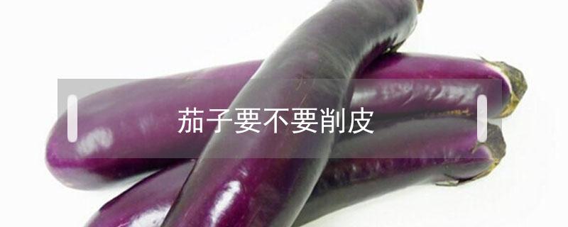 茄子要不要削皮(炒紫色茄子要不要削皮)