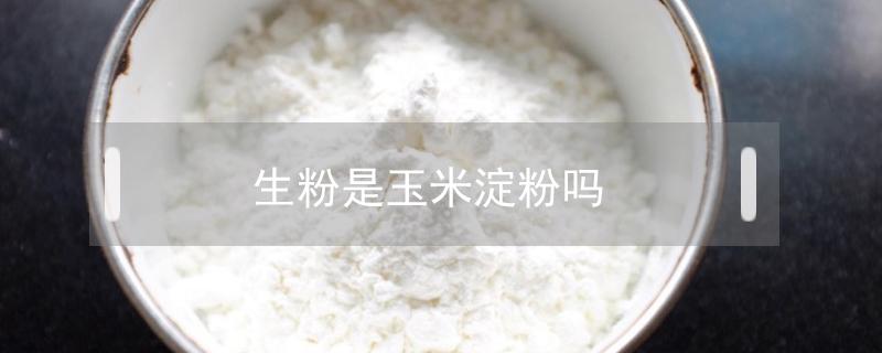 生粉是玉米淀粉吗（超市卖的生粉是玉米淀粉吗）