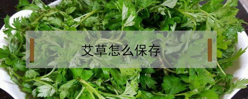 艾草怎么保存（艾草怎么保存才不会发霉）