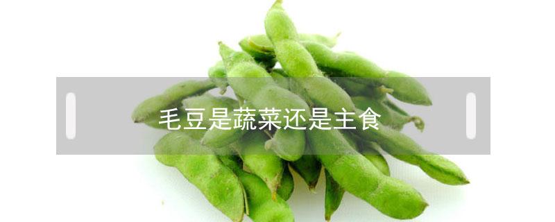 毛豆是蔬菜还是主食（毛豆属于蔬菜还是主食）