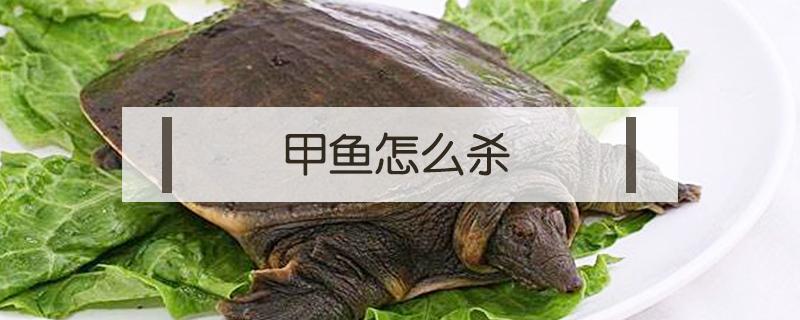 甲鱼怎么杀 甲鱼怎么炖最有营养