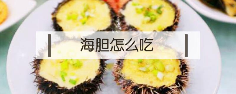 海胆怎么吃（海胆怎么处理）