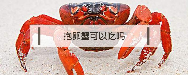 抱卵蟹可以吃吗 蟹卵能吃吗?
