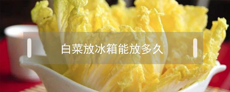 白菜放冰箱能放多久（夏天白菜放冰箱能放多久）