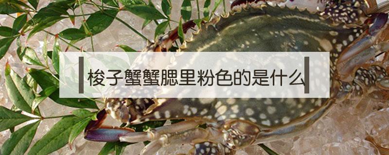 梭子蟹蟹腮里粉色的是什么 梭子蟹的腮里面有粉色的一根一根