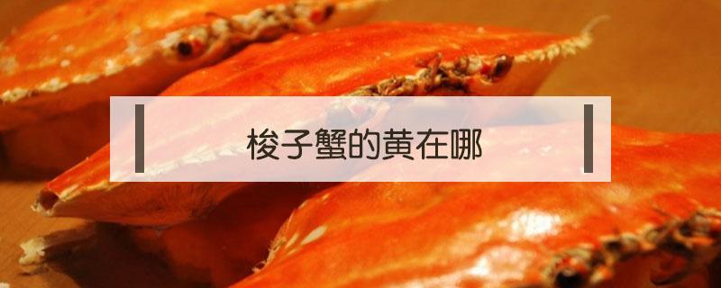 梭子蟹的黄在哪（梭子蟹的黄在哪?）