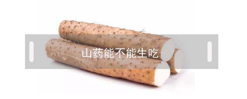 山药能不能生吃(山药能不能生吃山药破了以后会不会烂)