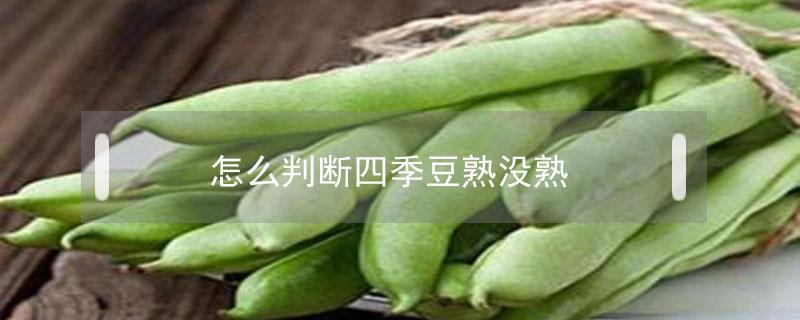 怎么判断四季豆熟没熟（怎样看四季豆熟没）