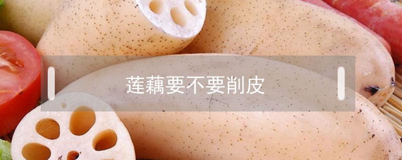 莲藕要不要削皮（莲藕要不要削皮煲汤）