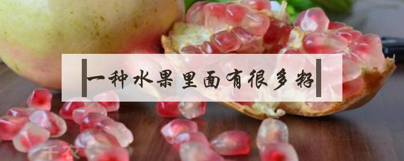 一种水果里面有很多籽 一种水果里面有很多籽是黑色的