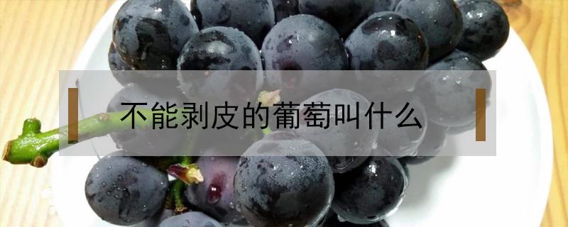 不能剥皮的葡萄叫什么 不用剥皮的葡萄叫什么