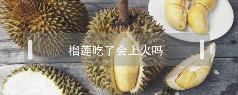 榴莲吃了会上火吗