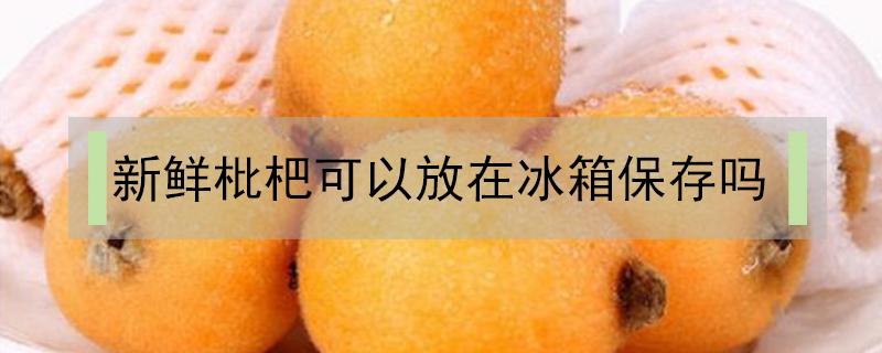 新鲜枇杷可以放在冰箱保存吗 枇杷能放在冰箱保鲜吗