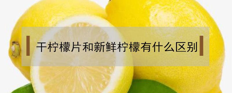 干柠檬片和新鲜柠檬有什么区别 干柠檬片和新鲜柠檬有什么区别呢