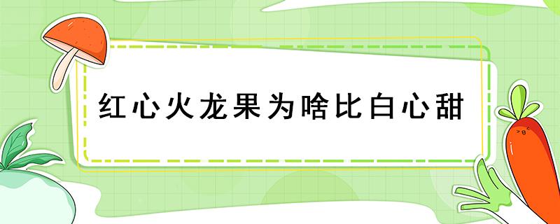 红心火龙果为啥比白心甜（红心火龙果为什么比白心甜）