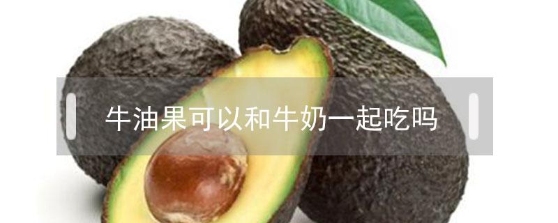 牛油果可以和牛奶一起吃吗（牛油果能和牛奶一起吃吗）