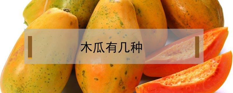 木瓜有几种（木瓜有几种品种图片）