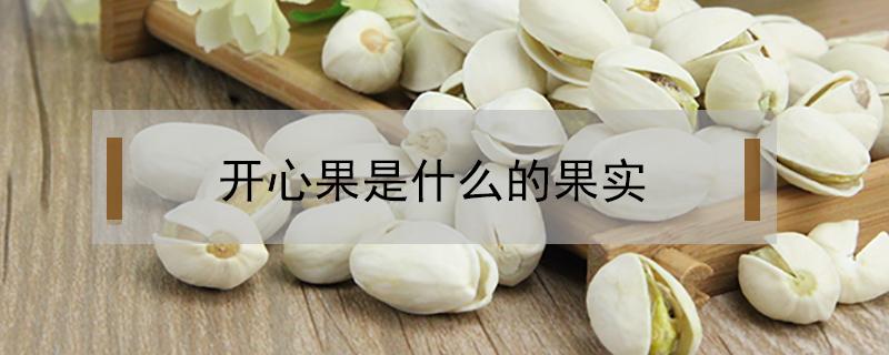 开心果是什么的果实(开心果是什么植物的果实)