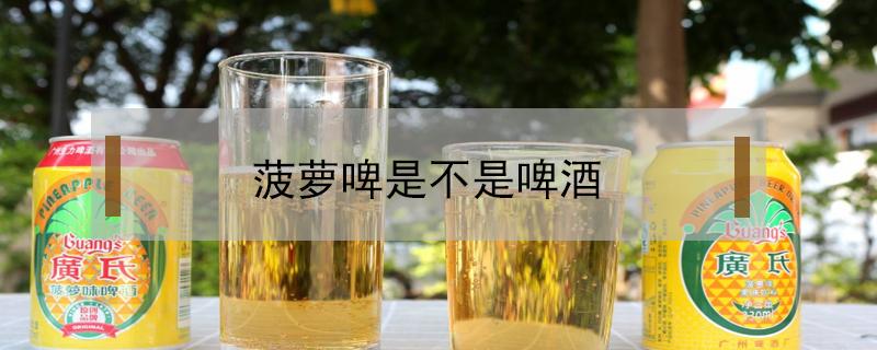 菠萝啤是不是啤酒 广氏菠萝啤是不是啤酒