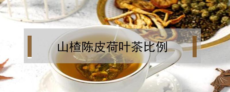 山楂陈皮荷叶茶比例(山楂陈皮荷叶茶的比例)