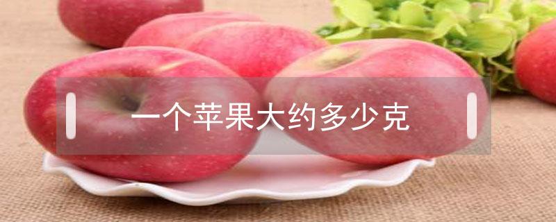 一个苹果大约多少克 1个苹果大约多少克