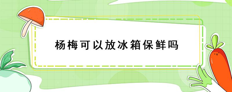 杨梅可以放冰箱保鲜吗（杨梅可以放冰箱保存吗）