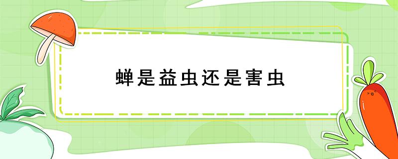 蝉是益虫还是害虫（蝉是益虫还是害虫?为什么?）