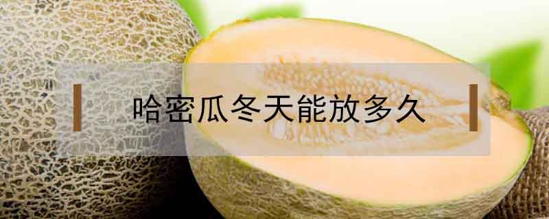 哈密瓜冬天能放多久 夏天哈密瓜常温下能放多久