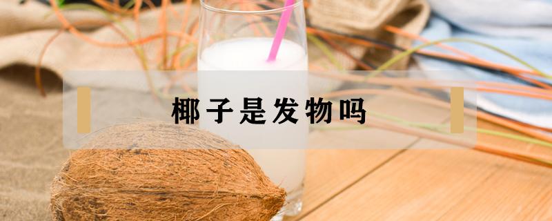 椰子是发物吗 椰子肉是不是发物