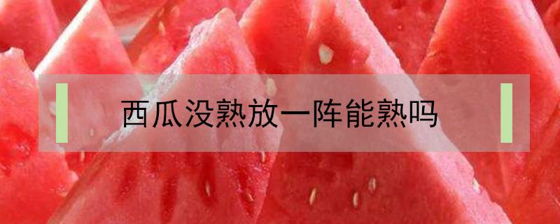 西瓜没熟放一阵能熟吗（没熟的西瓜放久了会熟吗）