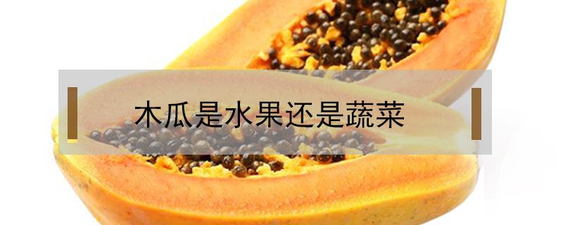 木瓜是水果还是蔬菜（水果木瓜和蔬菜木瓜有什么区别?）