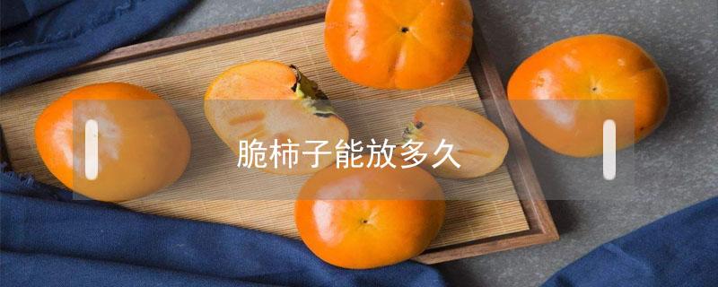 脆柿子能放多久（脆柿子怎么存放可以放时间久些）