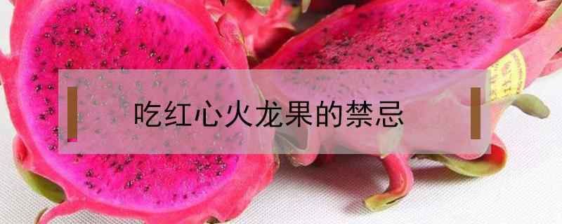 吃红心火龙果的禁忌（吃红心火龙果的禁忌女性成人用品咋用）