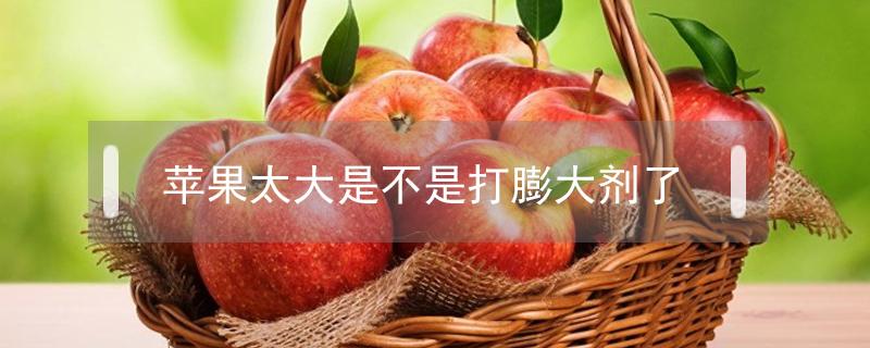 苹果太大是不是打膨大剂了 太大的苹果是否打过膨大剂