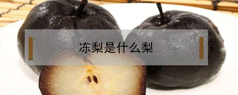 冻梨是什么梨 冻梨是什么梨都可以吗