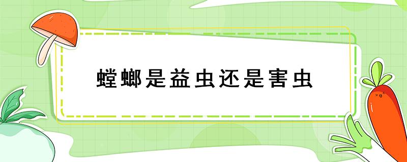 螳螂是益虫还是害虫 螳螂是益虫还是害虫,蜻蜓是吃什么的呢?