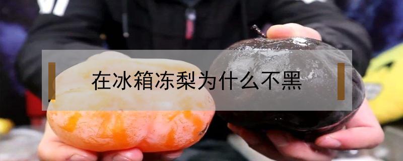 在冰箱冻梨为什么不黑 为什么自己冻的梨不黑